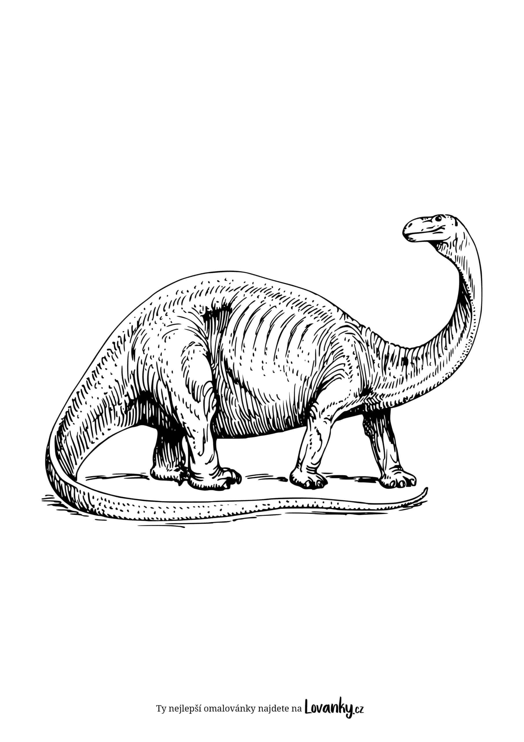Brachiosaurus omalovánky