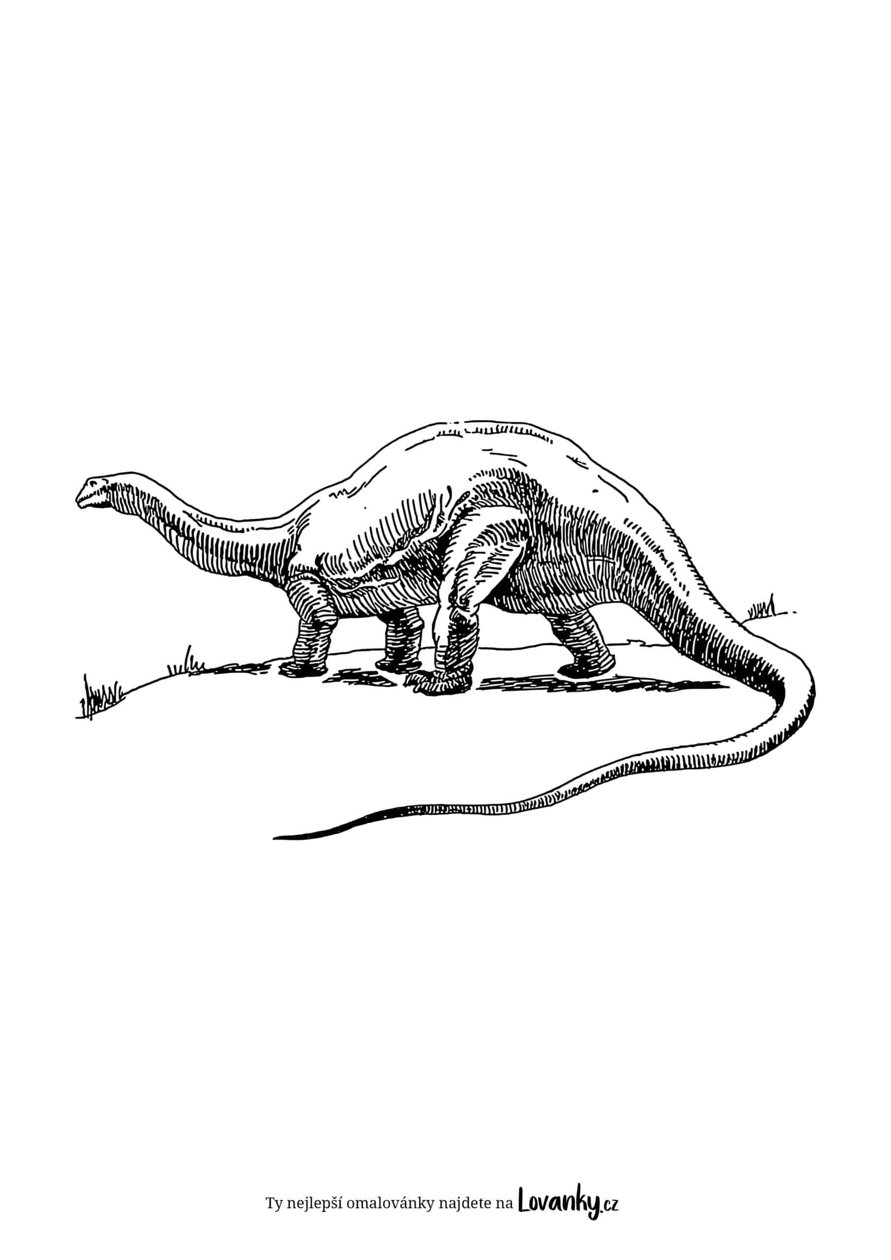 Brontosaurus omalovánky