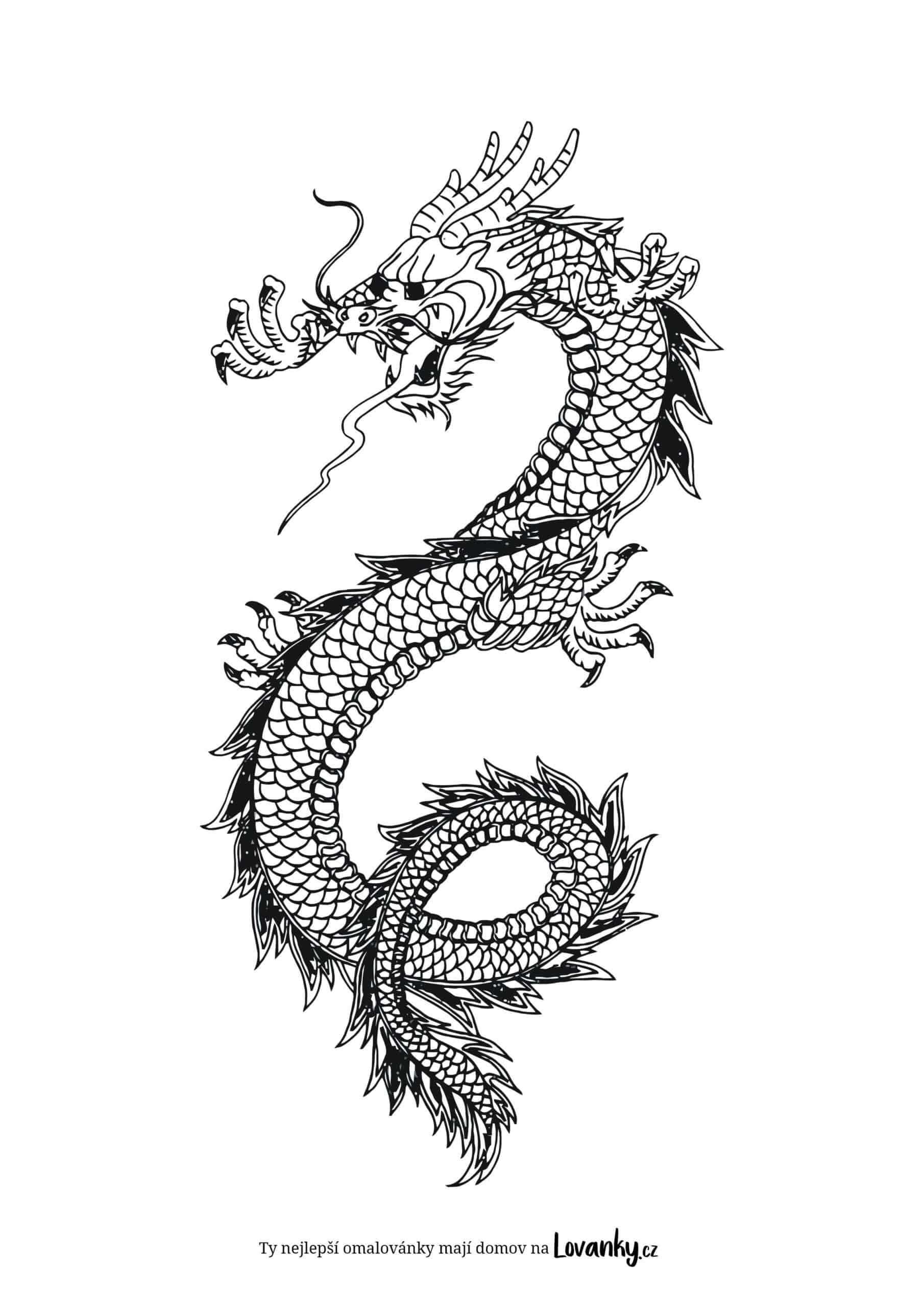 Čínský drak omalovánky