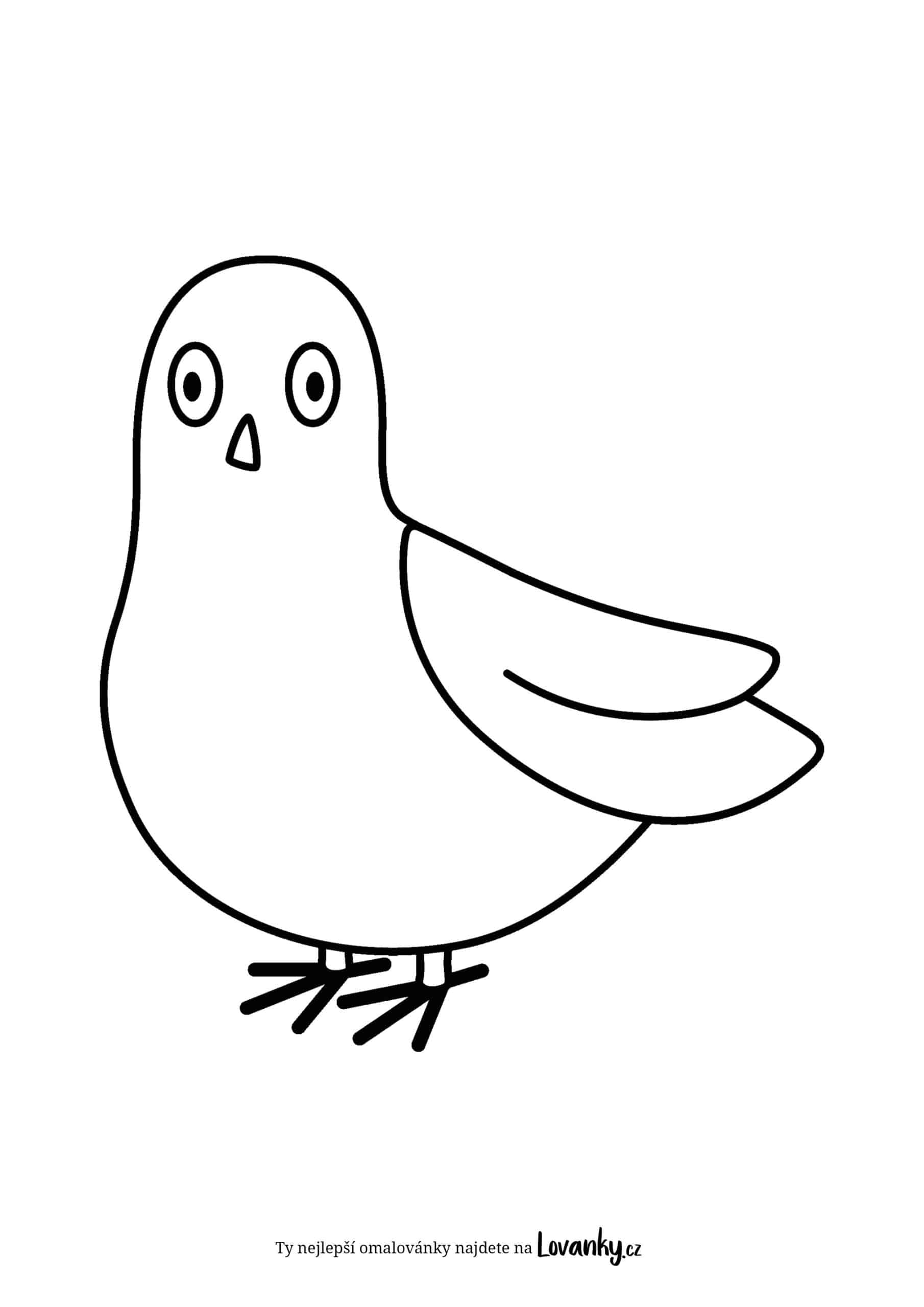 holub pro děti omalovánky