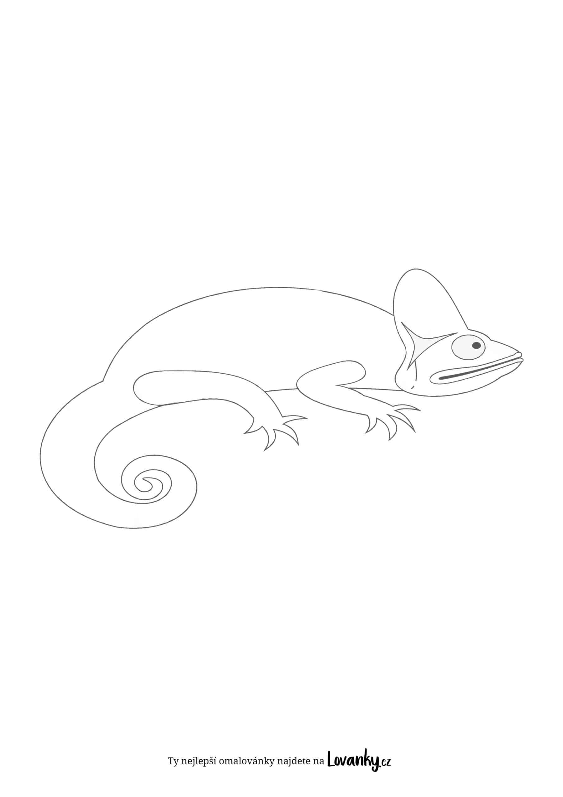 Jednoduchý chameleon pro děti omalovánky