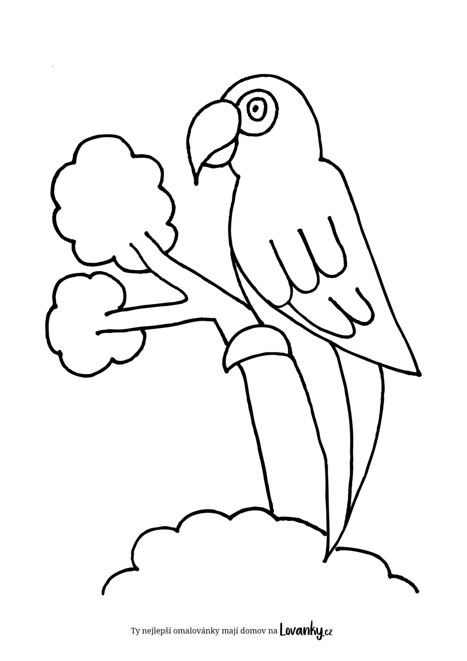 Jednoduchý papoušek omalovánky