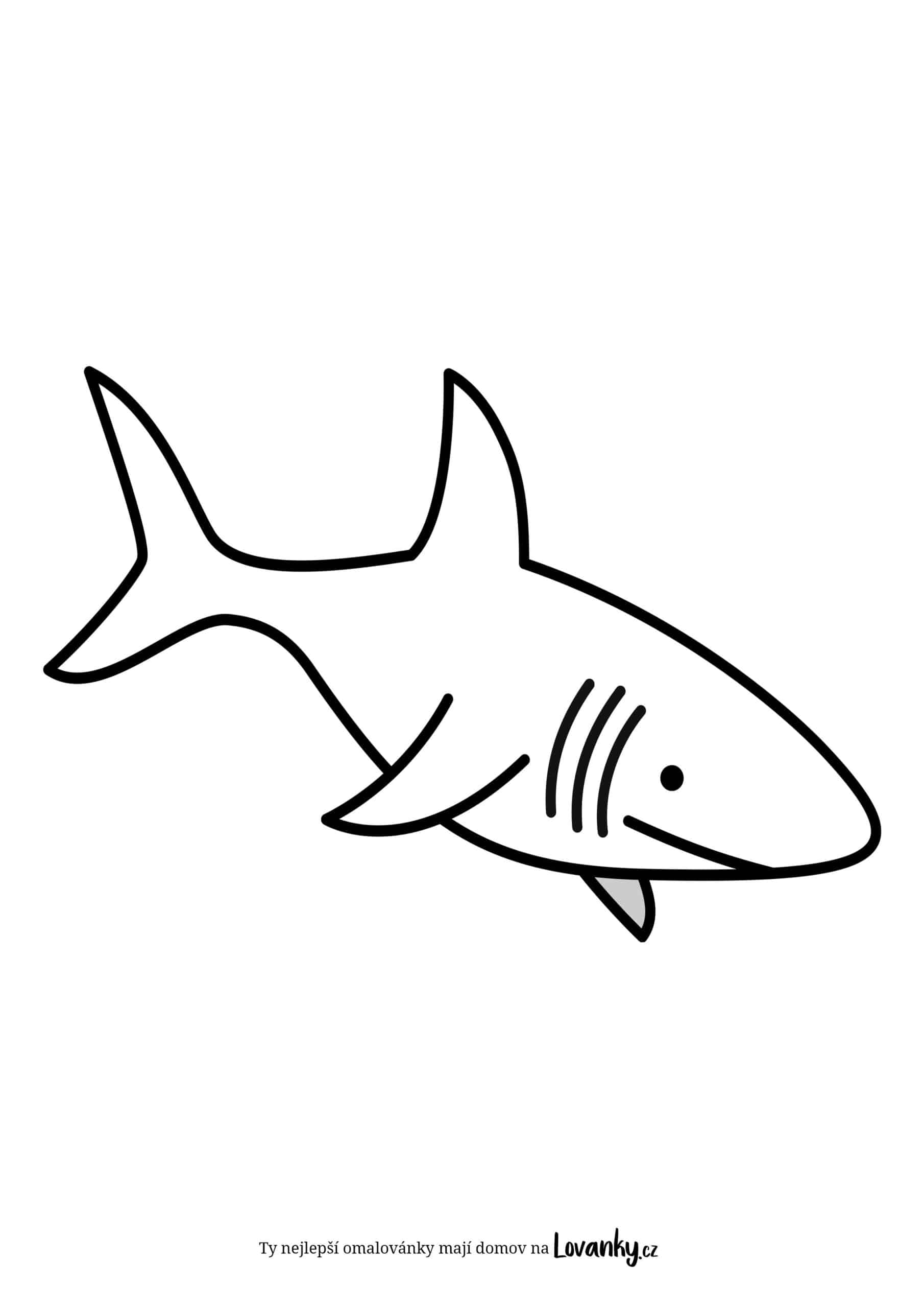 Jednoduchý žralok omalovánky