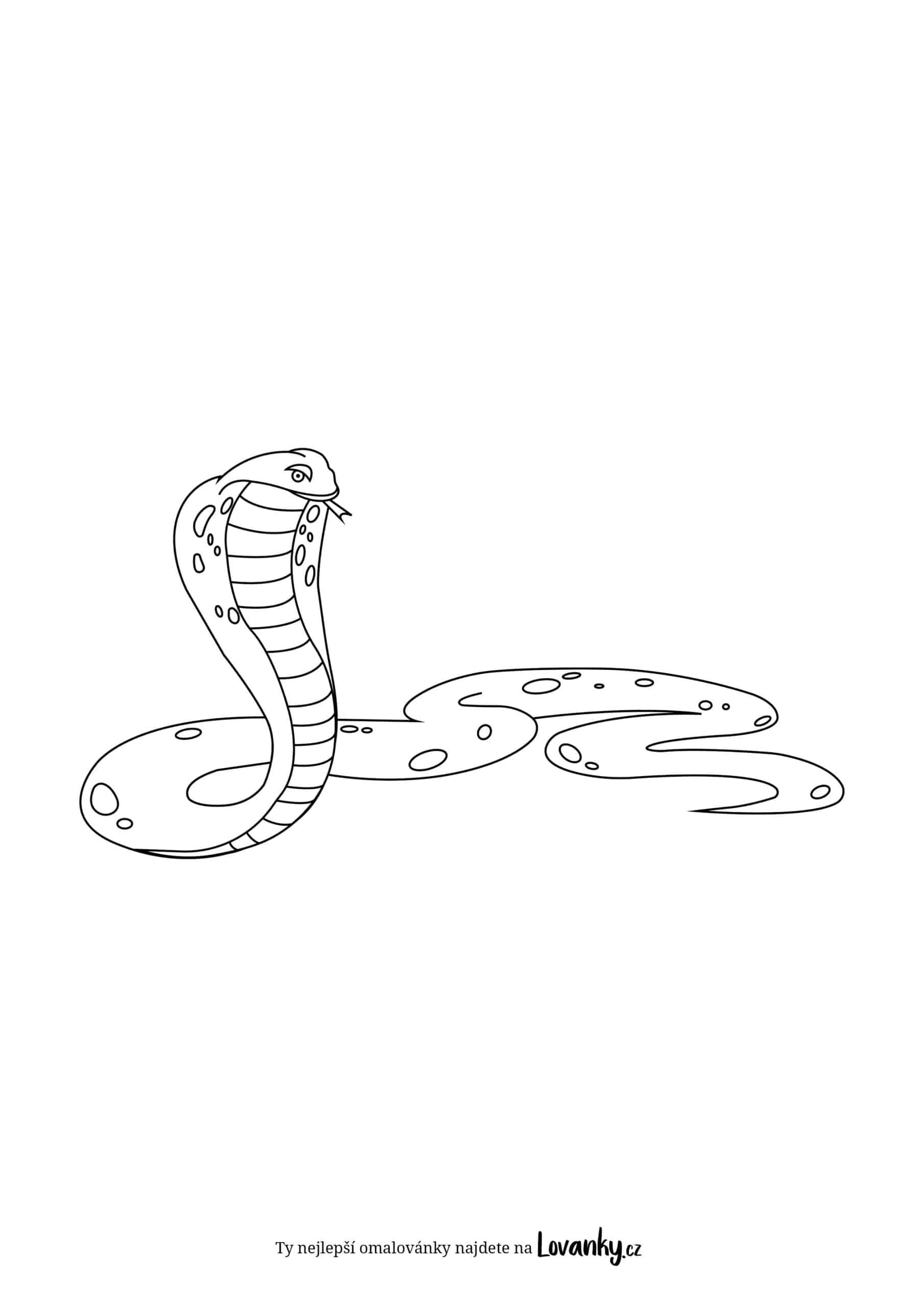 kobra omalovánky