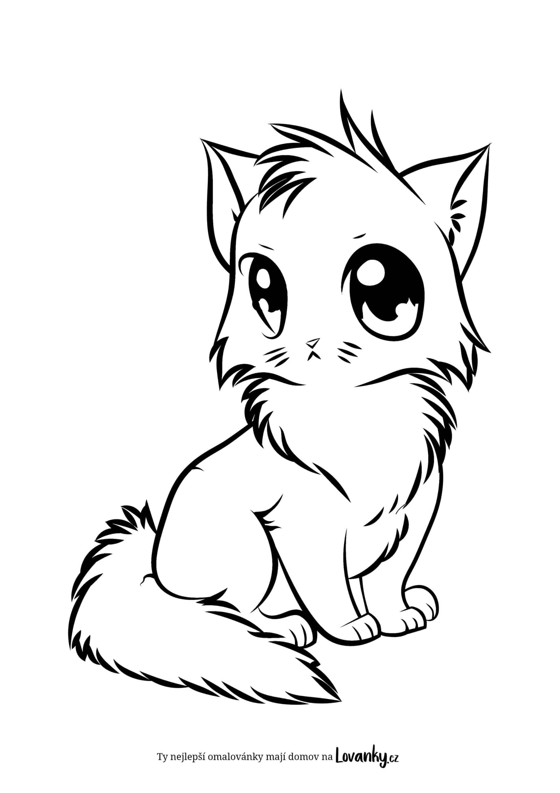 Kočka s velkýma očima omalovánky