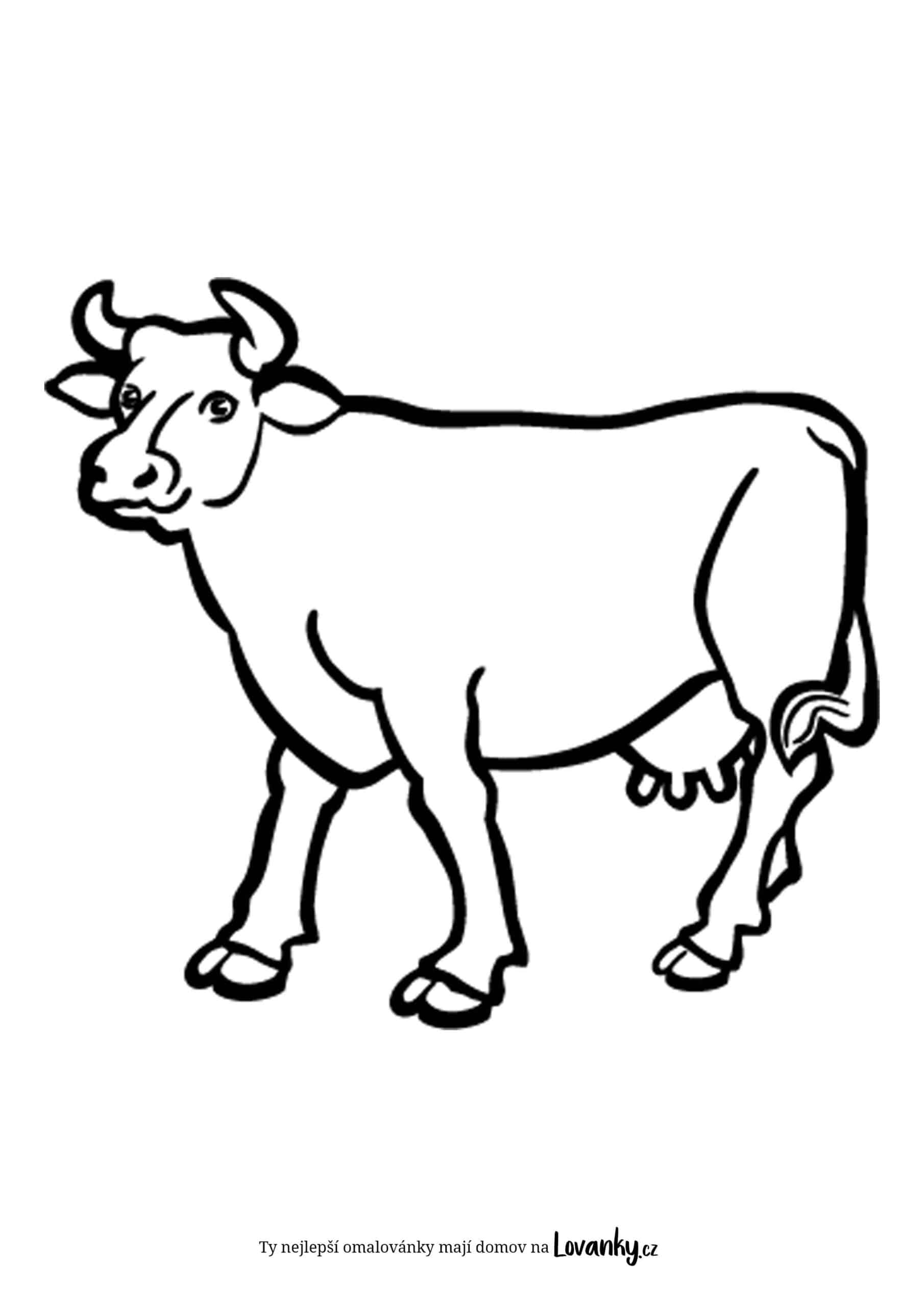 Kráva omalovánky