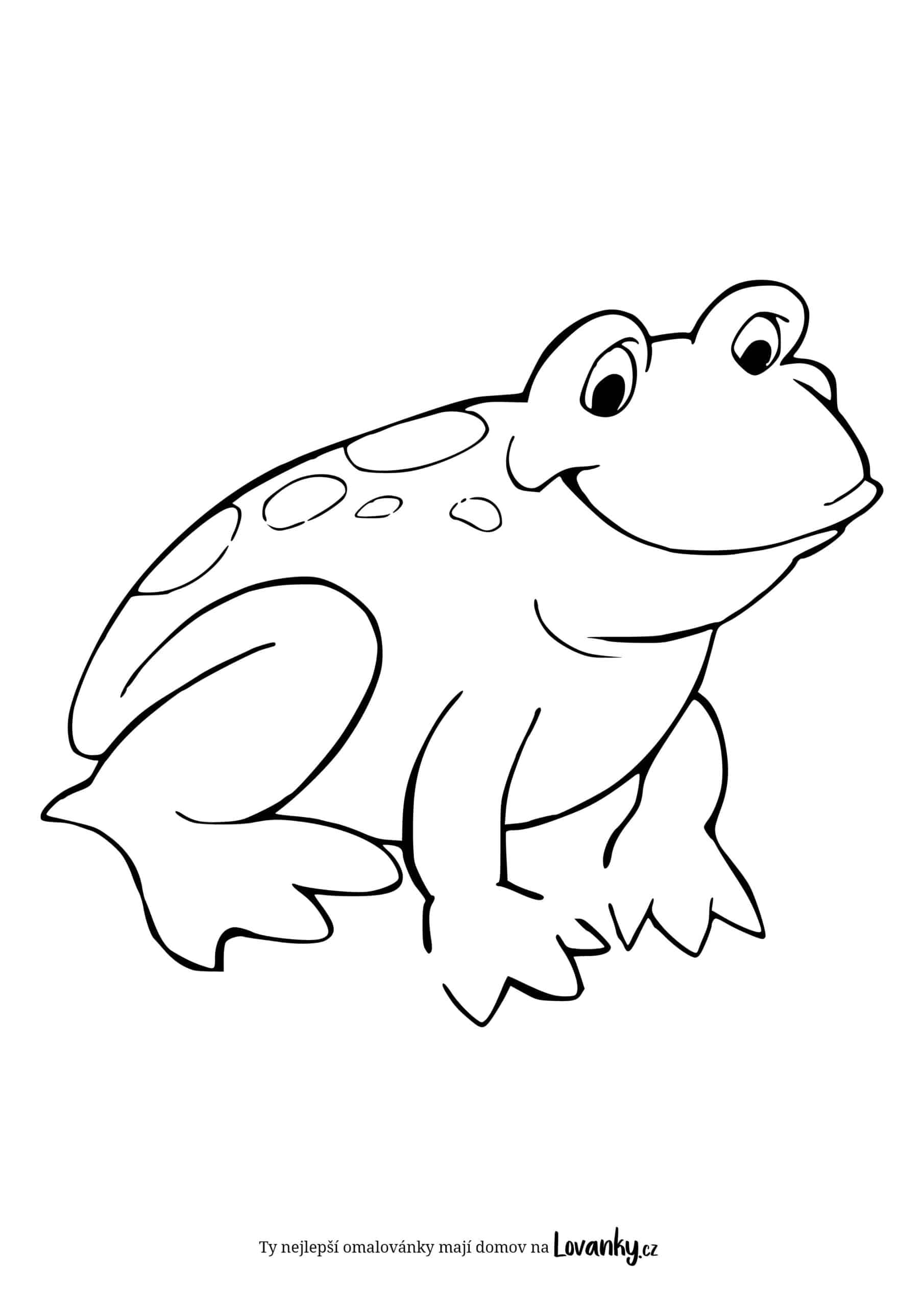 Kreslená žába omalovánky