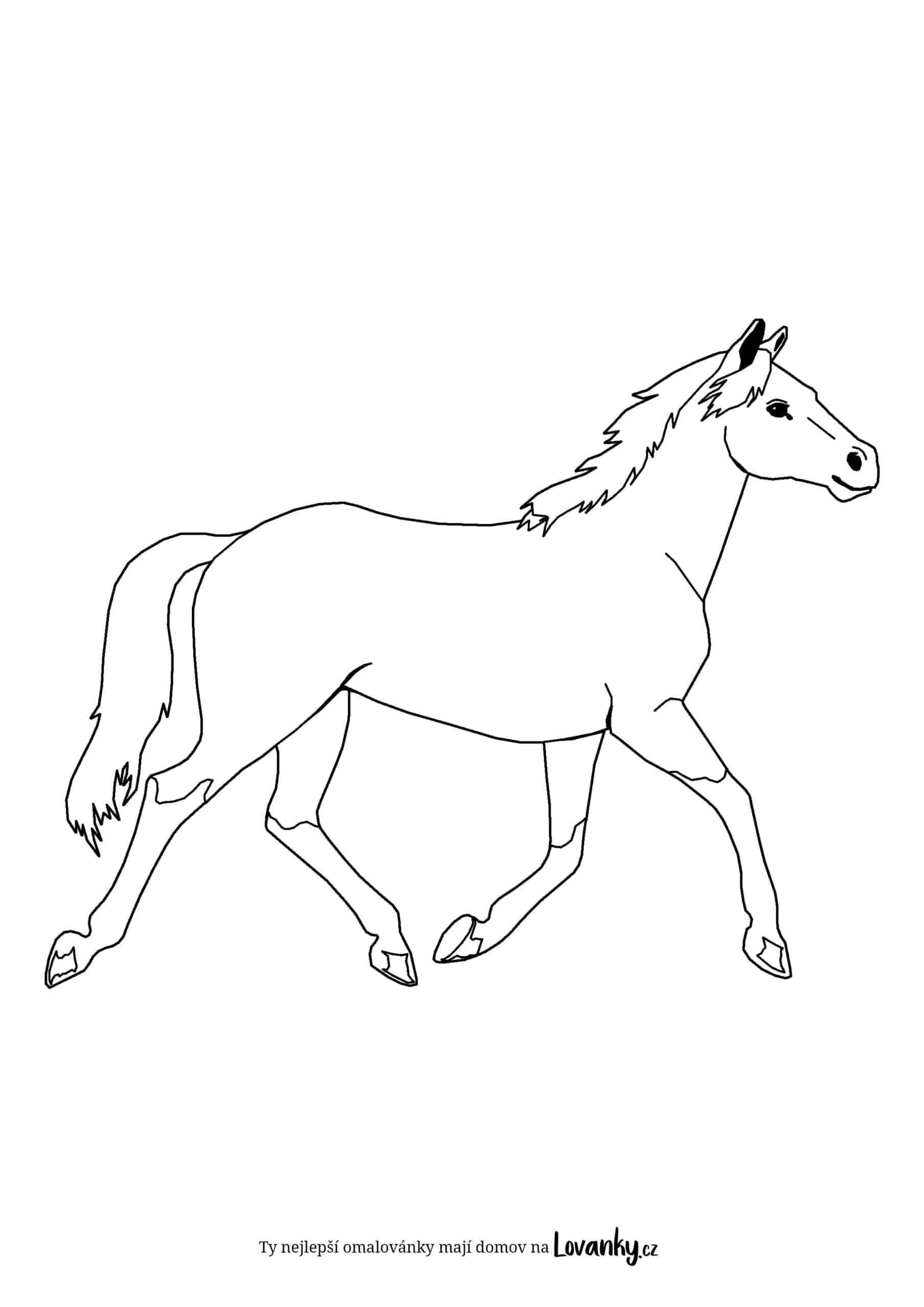 kůň při běhu omalovánky