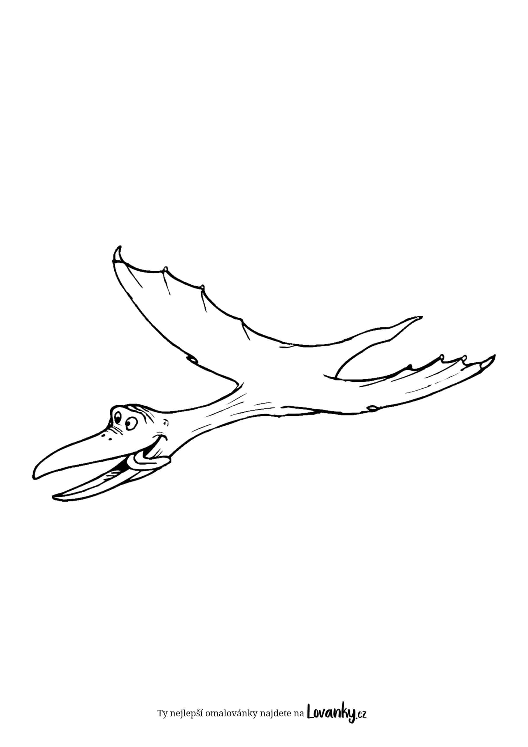 Létající dinosaurus omalovánky