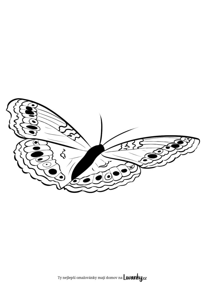 Letící motýlek omalovánky