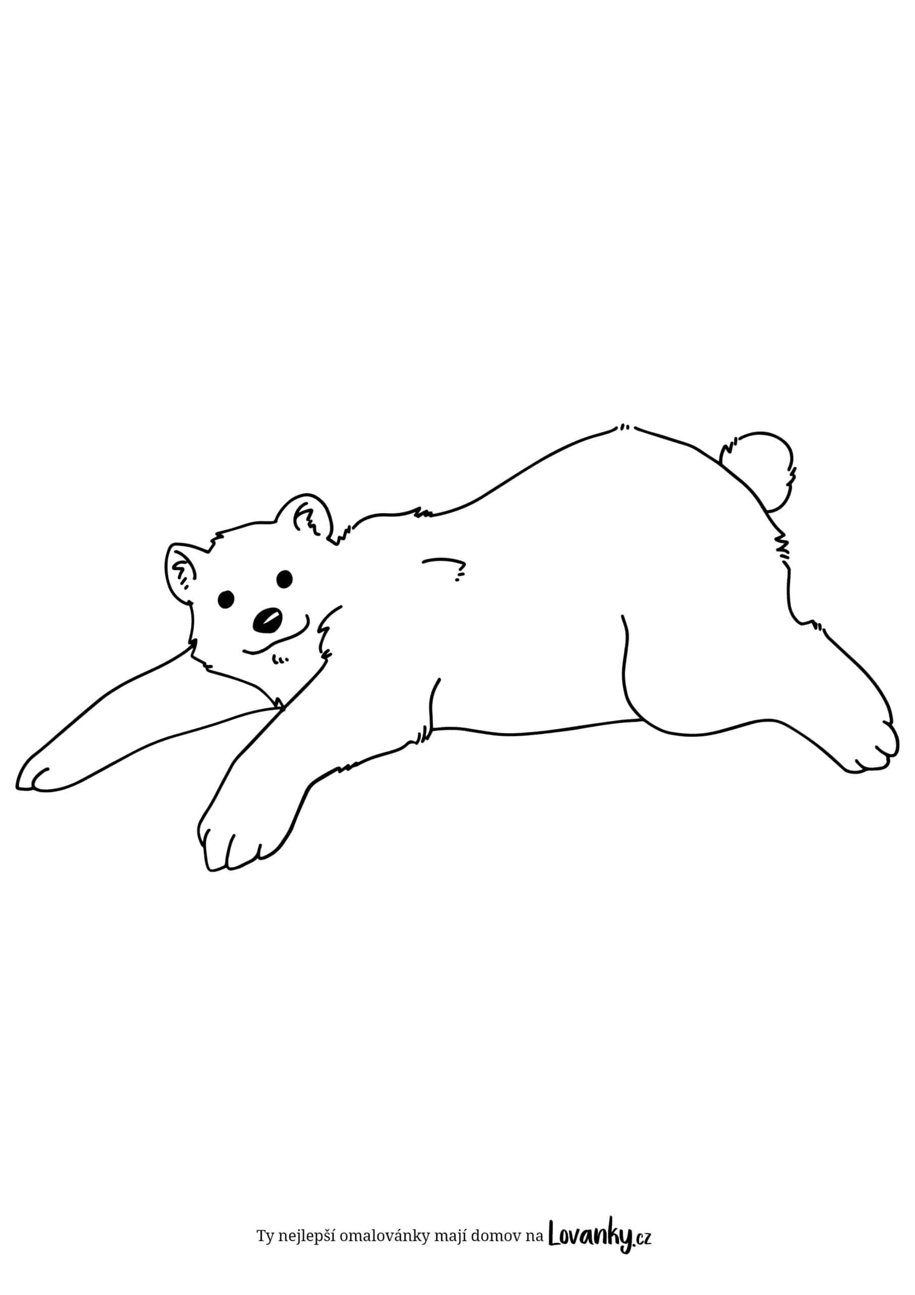 Ležící medvěd omalovánky
