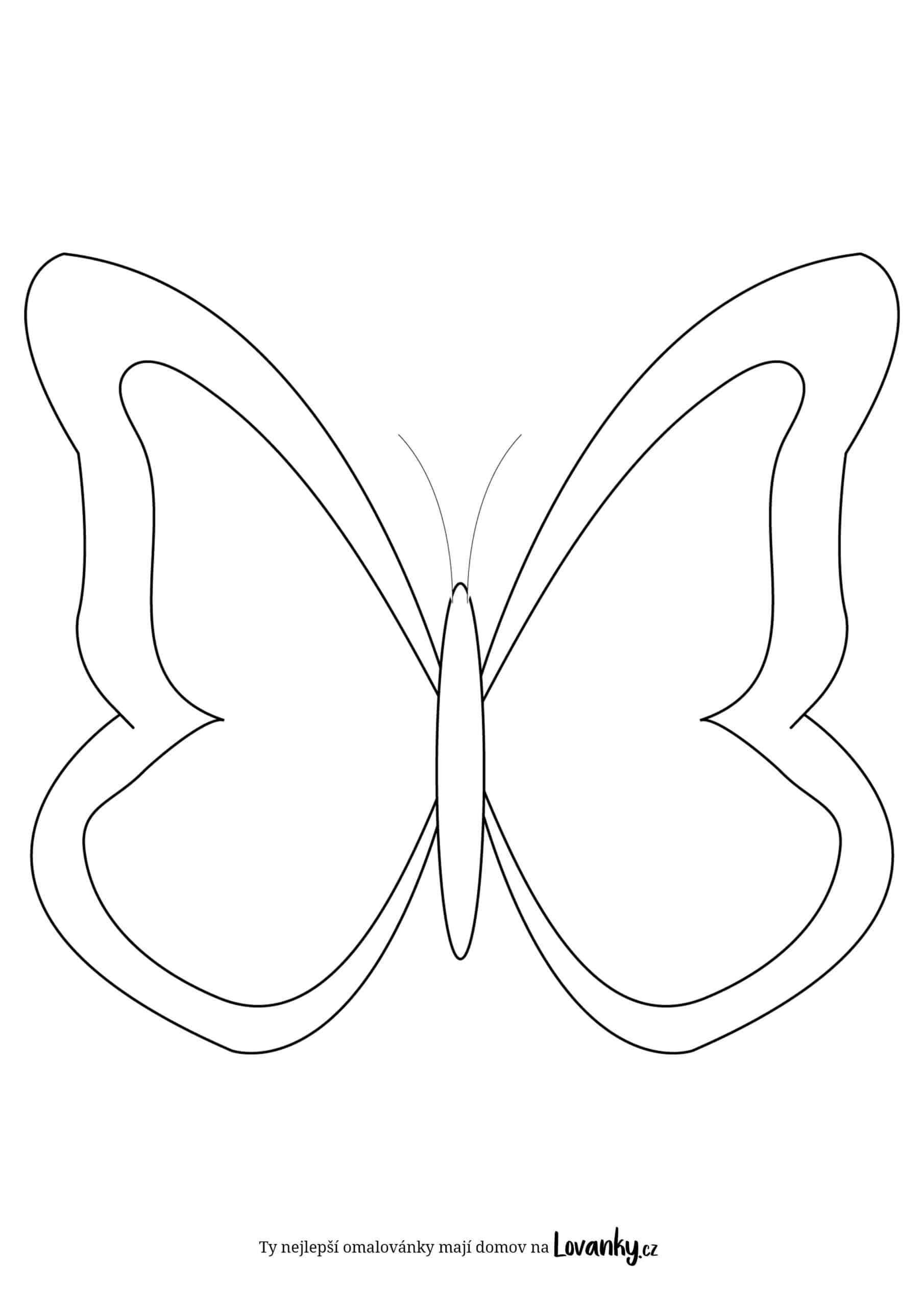 Motýl bez vzoru omalovánky