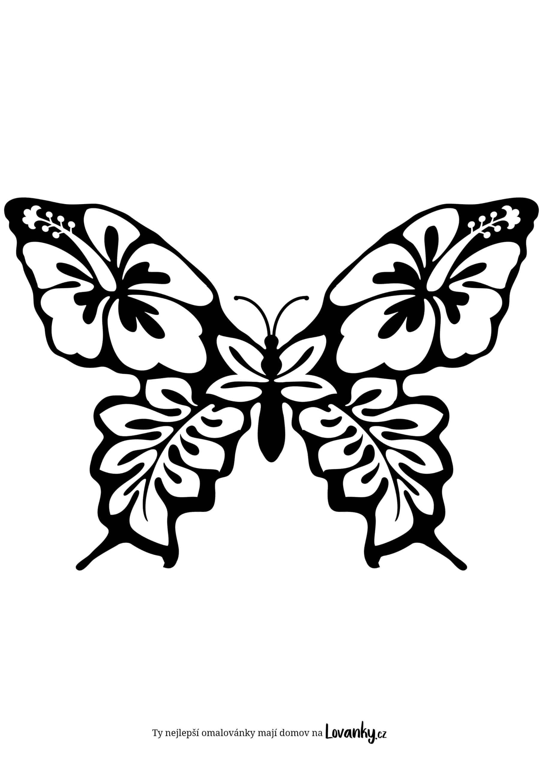 Motýl s květinovým vzorem omalovánky