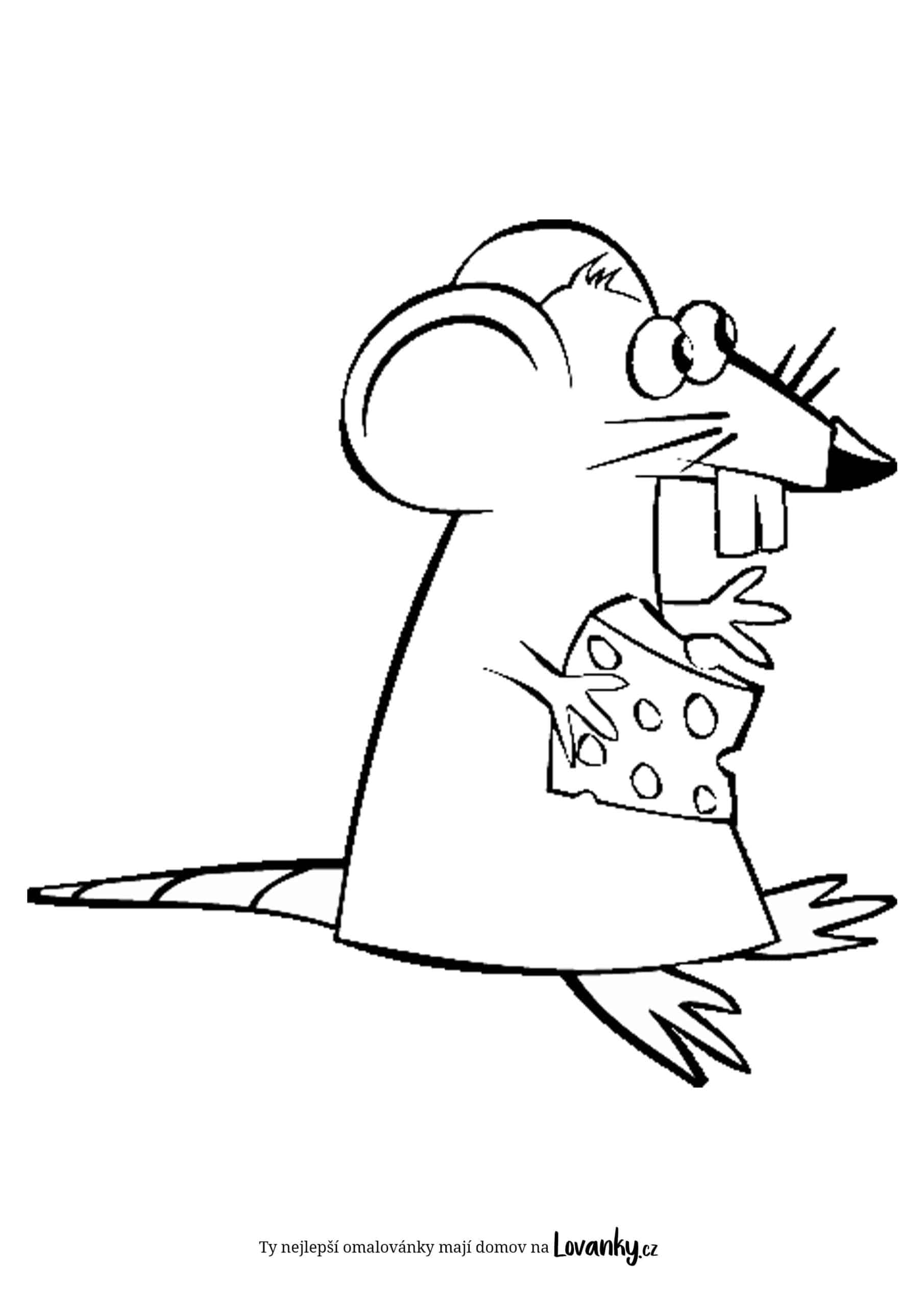 Myš se sýrem omalovánky