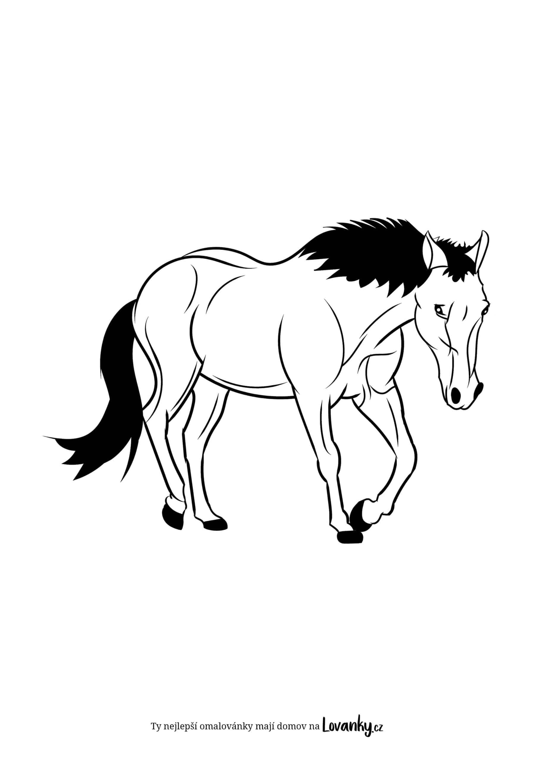 obrázek koně omalovánky