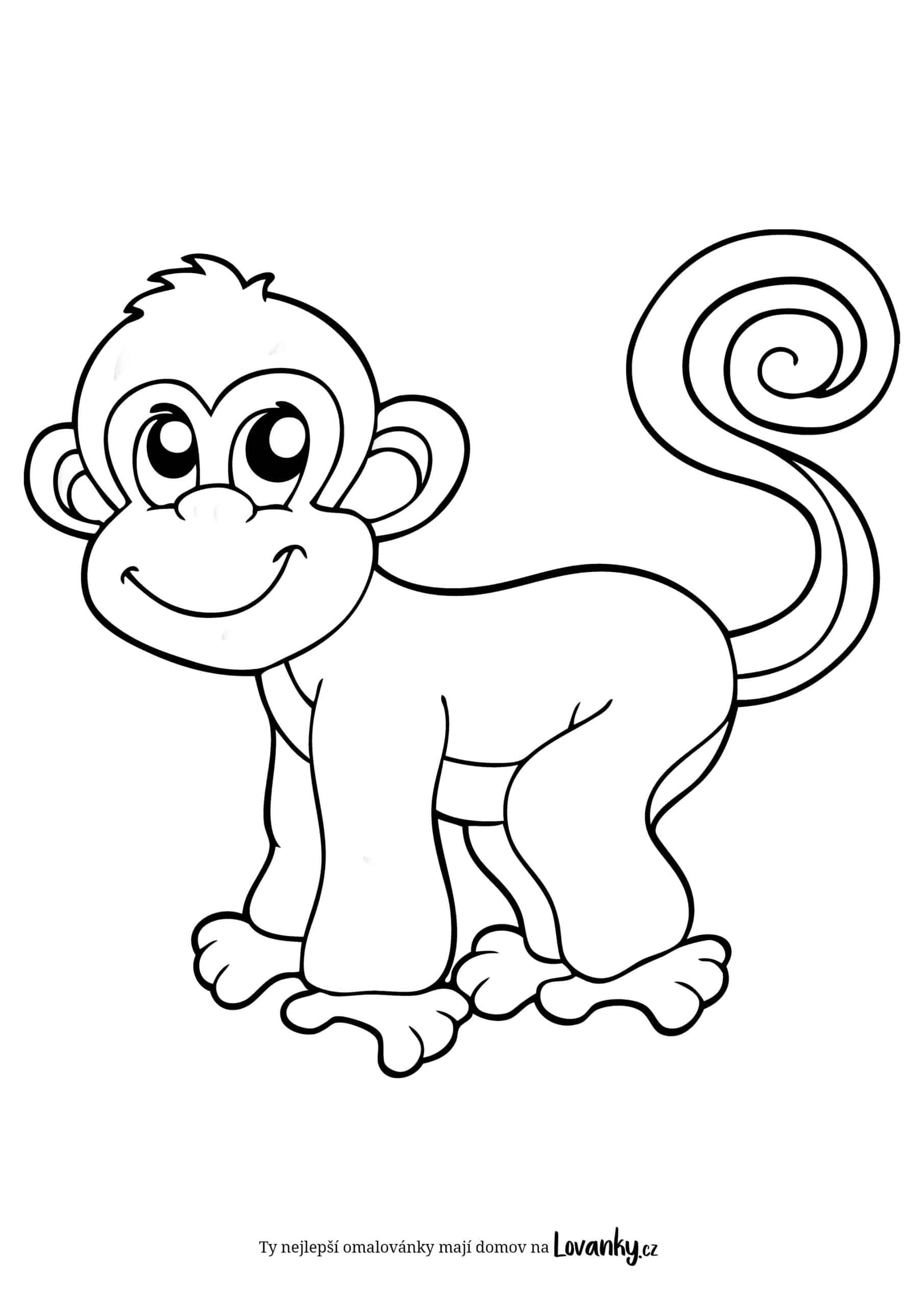 Opička omalovánky