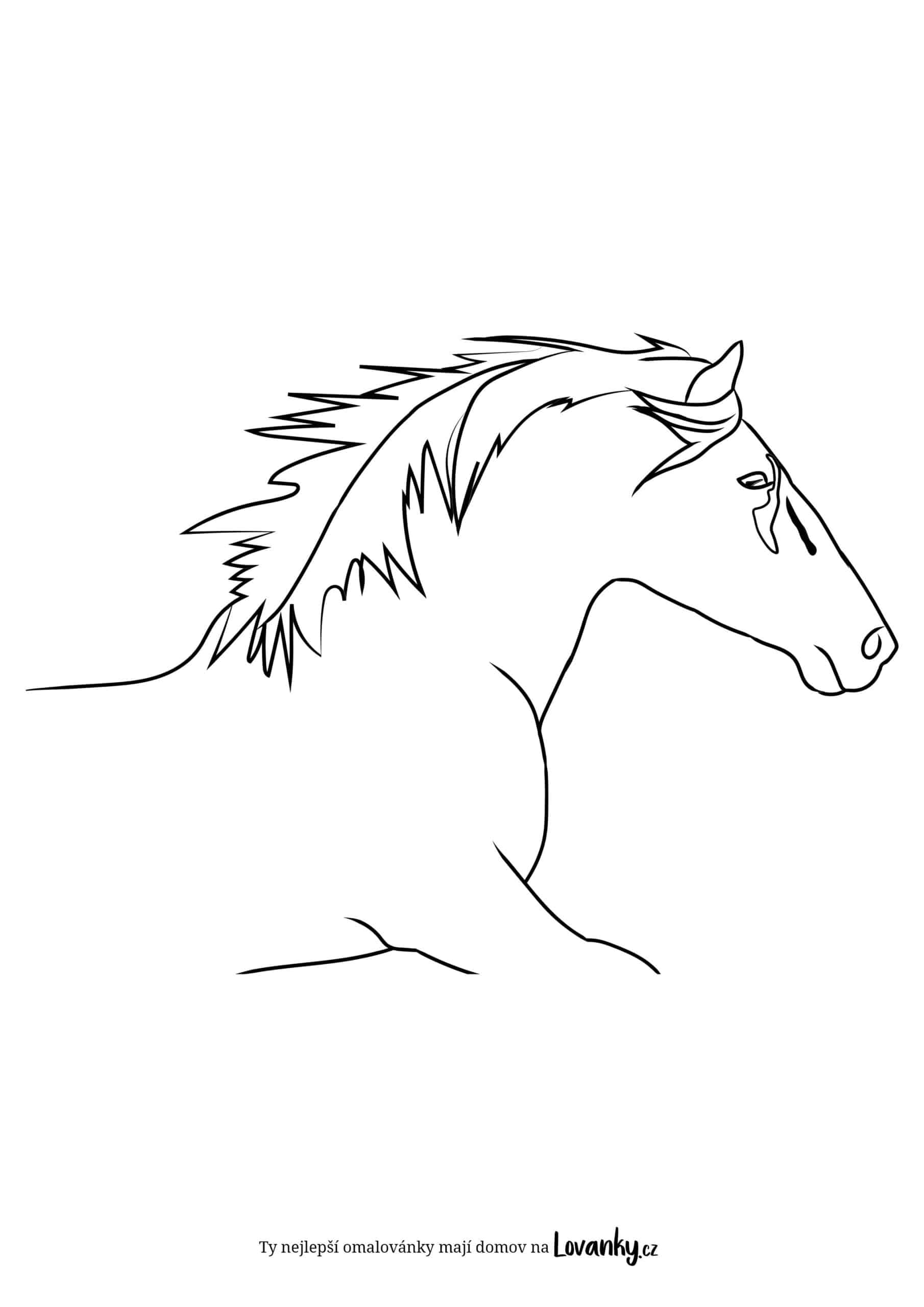 profil koně omalovánky