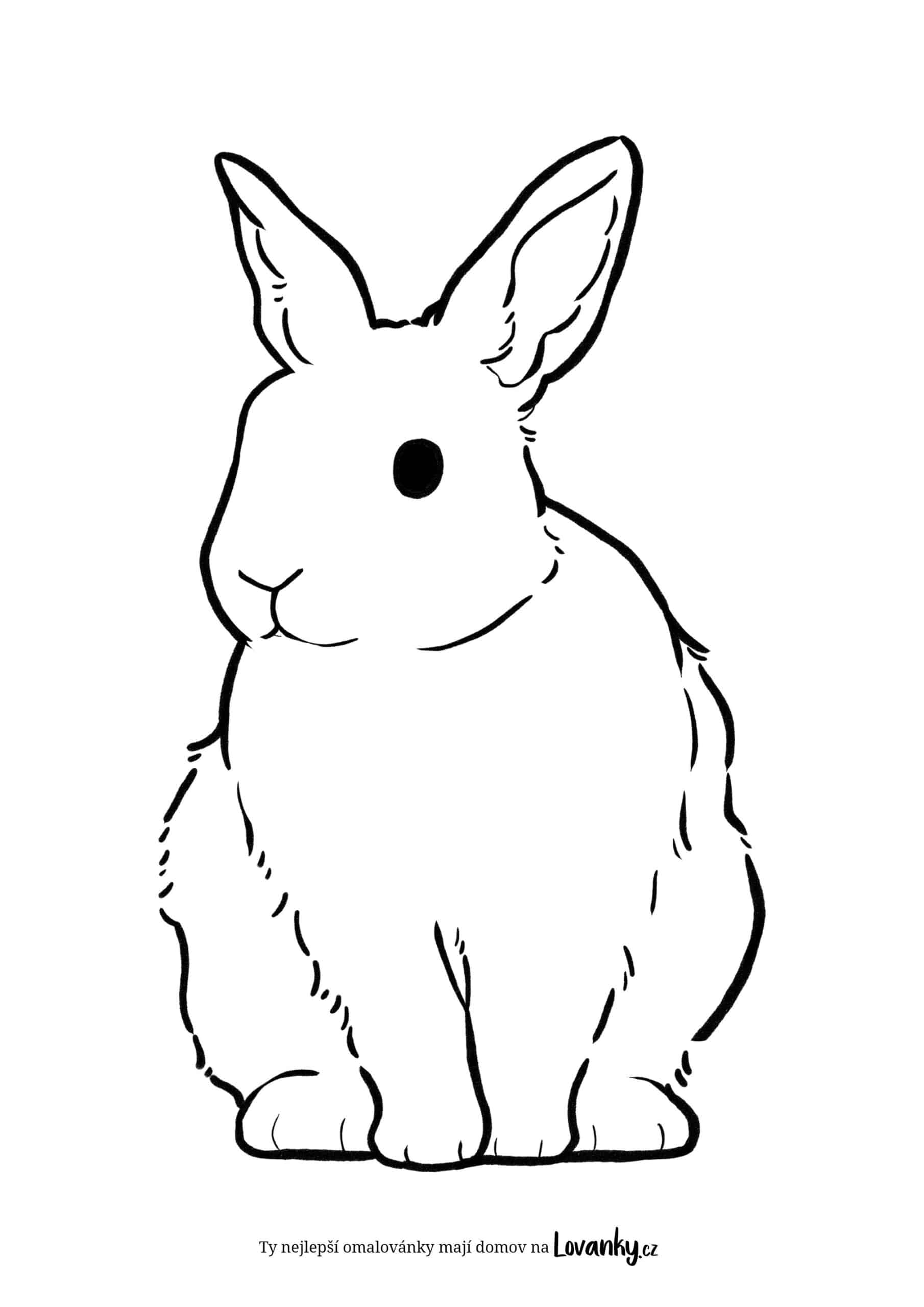 Realistický králík omalovánky