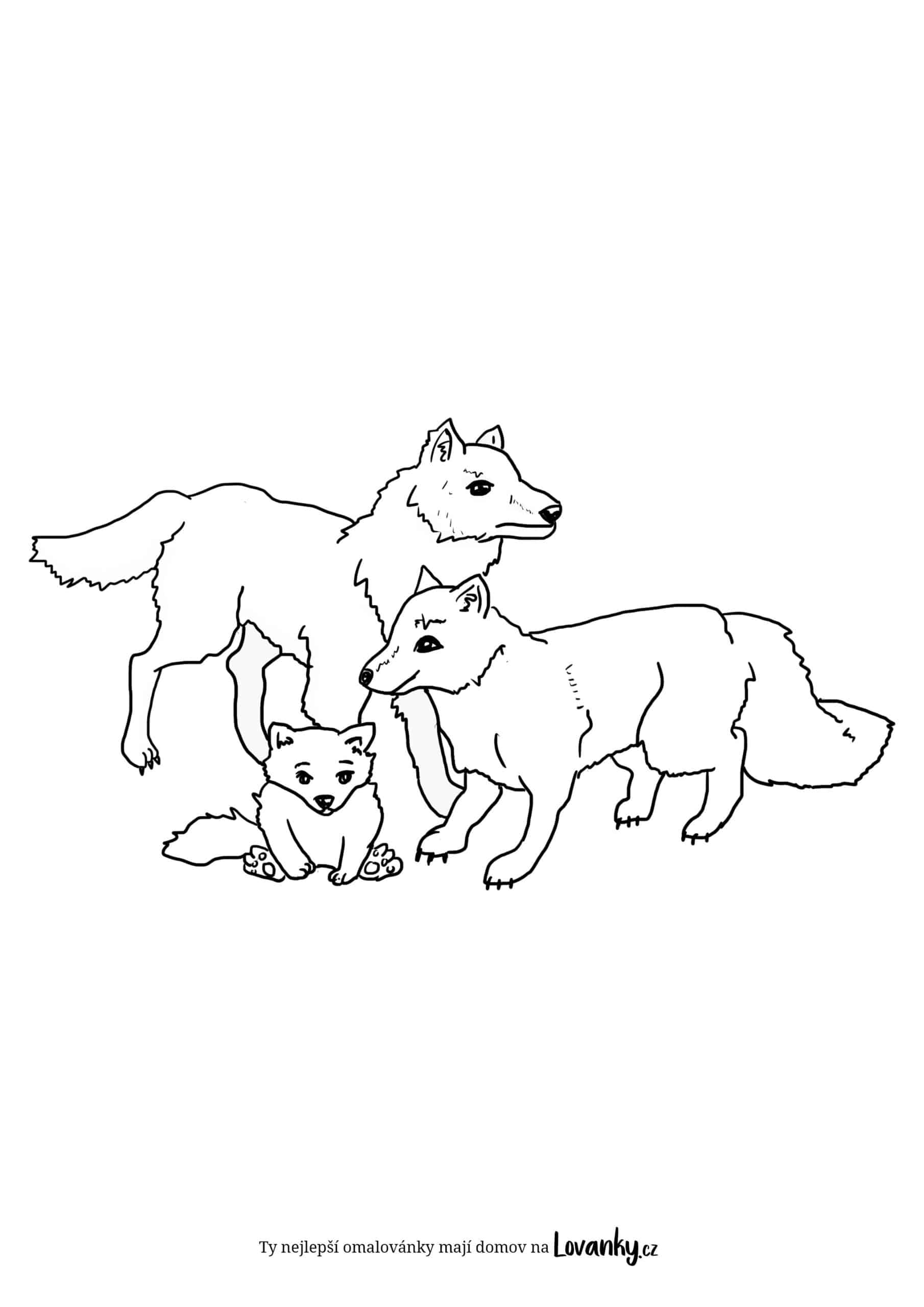 Rodina vlků omalovánky
