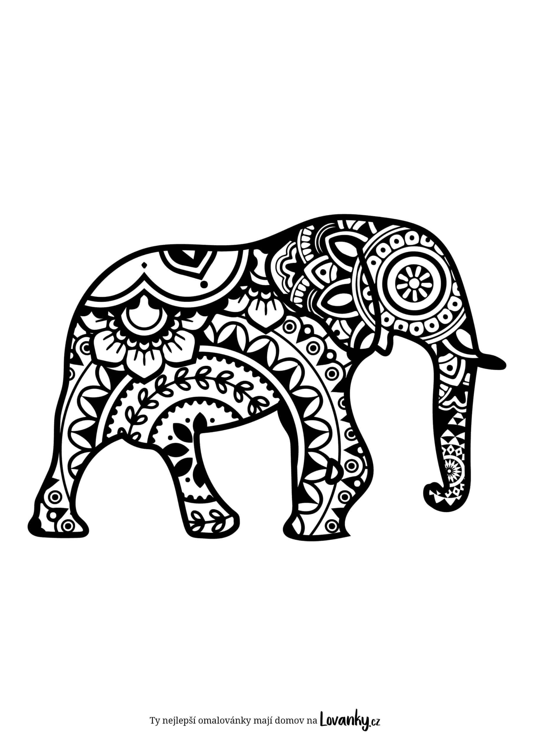 Slon mandala omalovánky