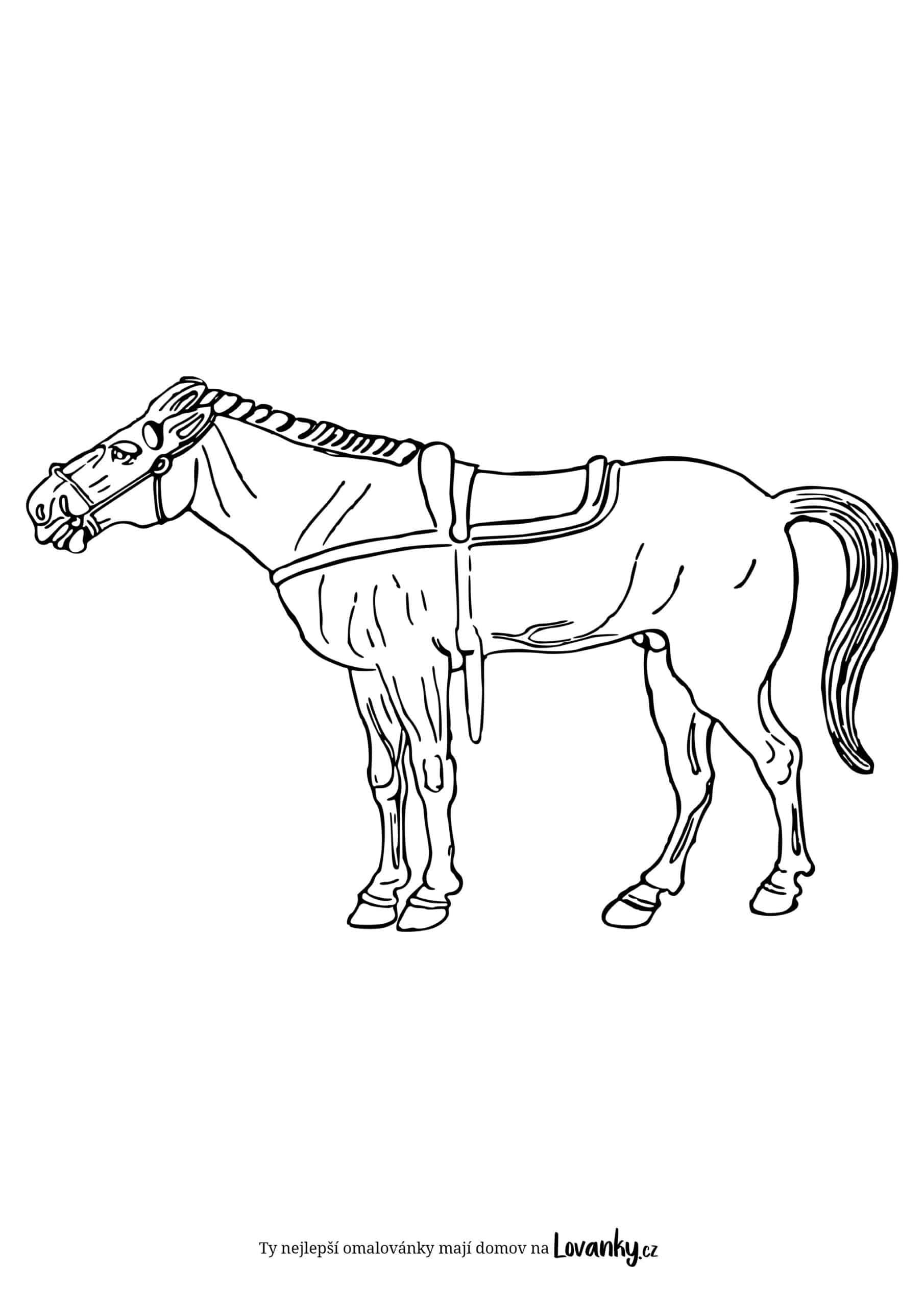 stojící kůň omalovánky