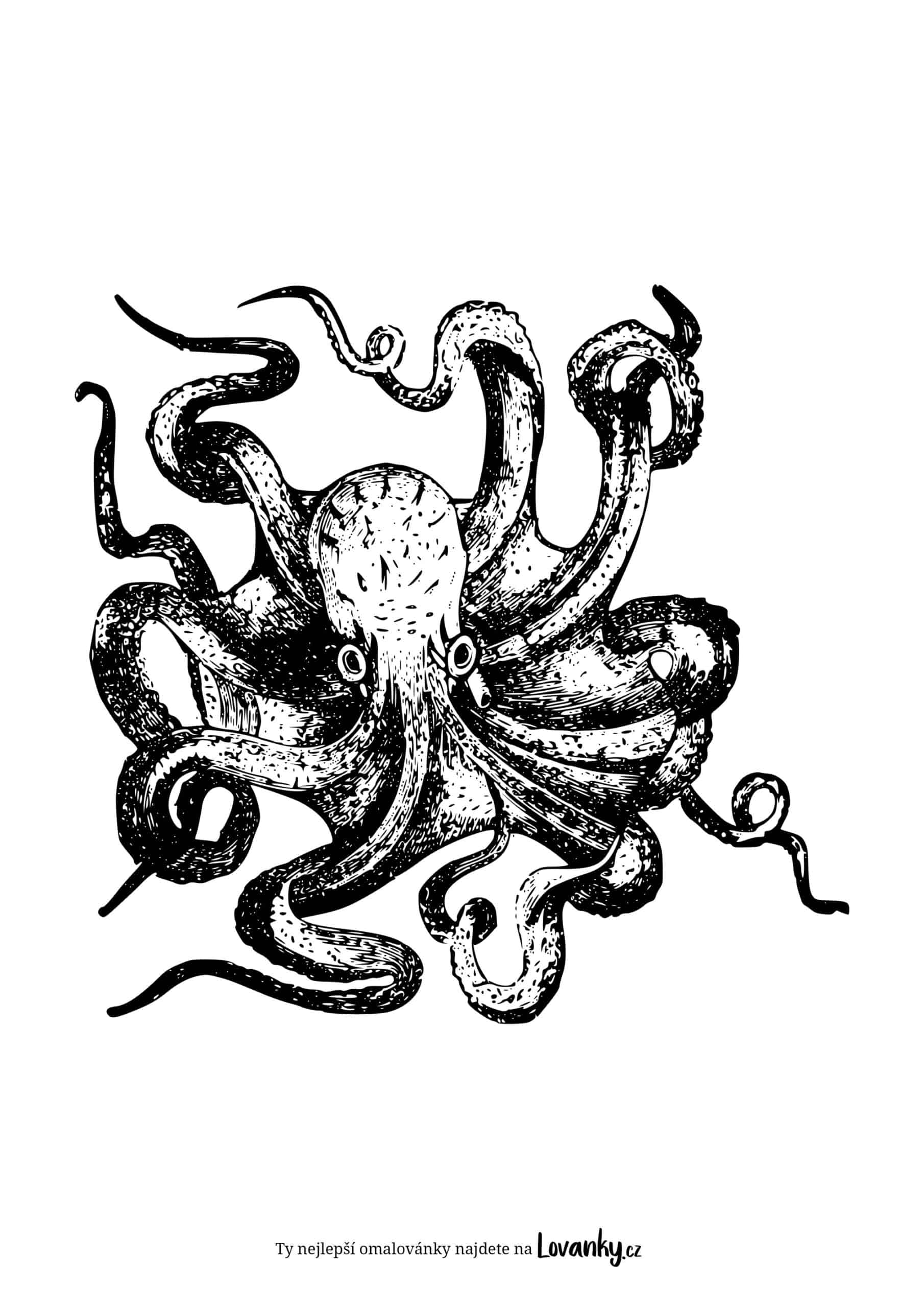 Strašidelná chobotnice omalovánky