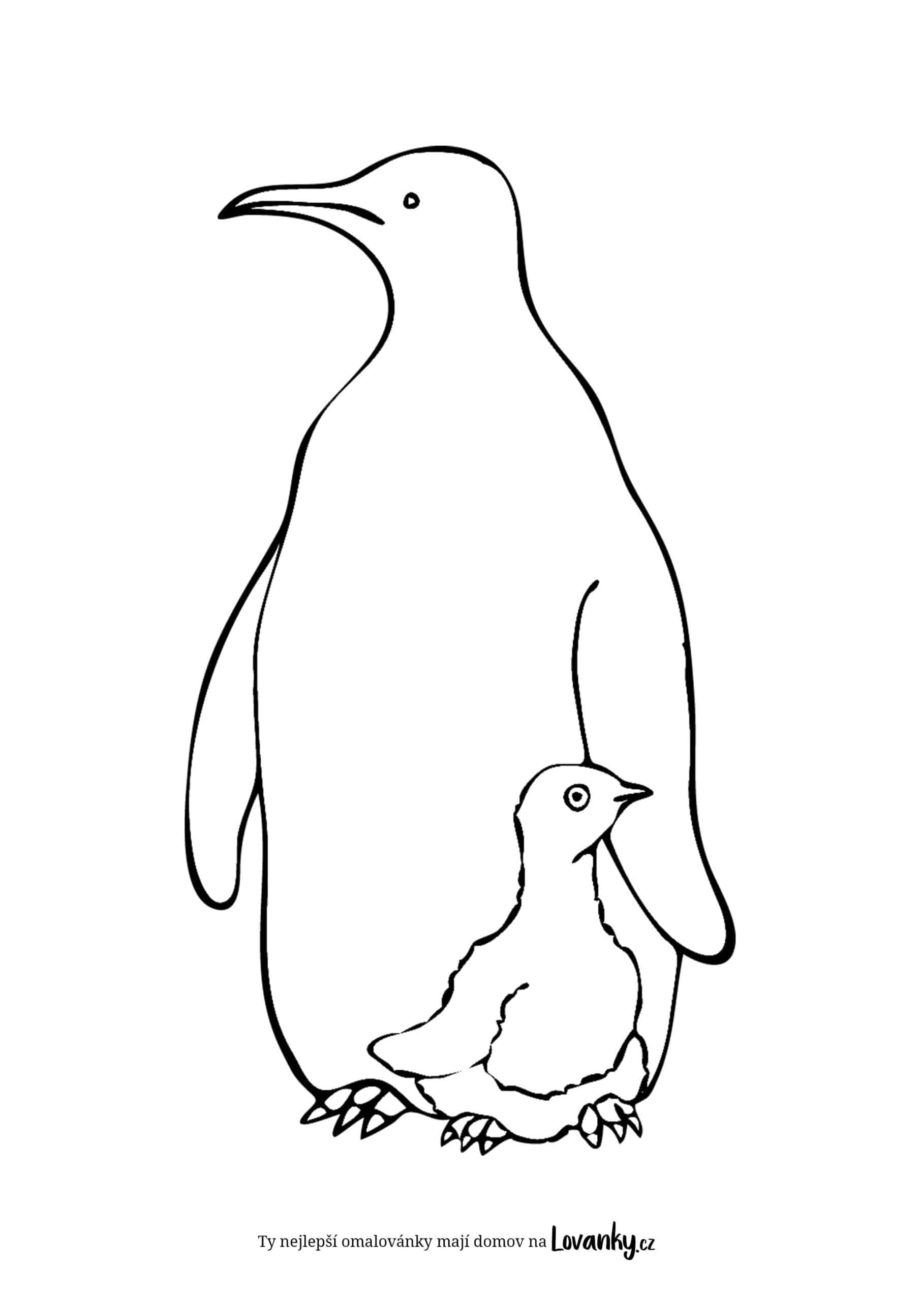 Tučňáčí rodina omalovánky