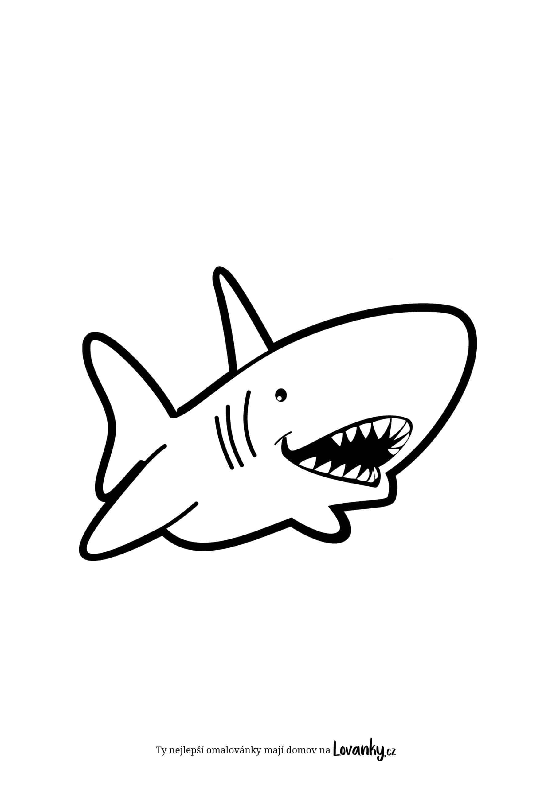 Žralok omalovánky