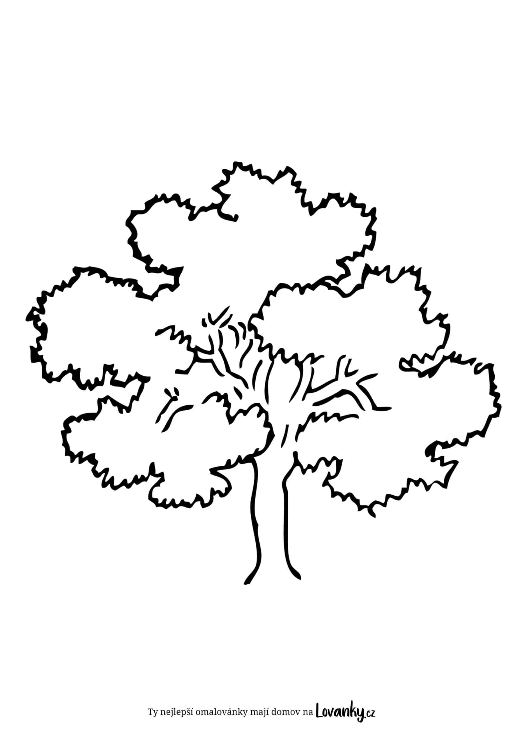 Květnatý strom omalovánky