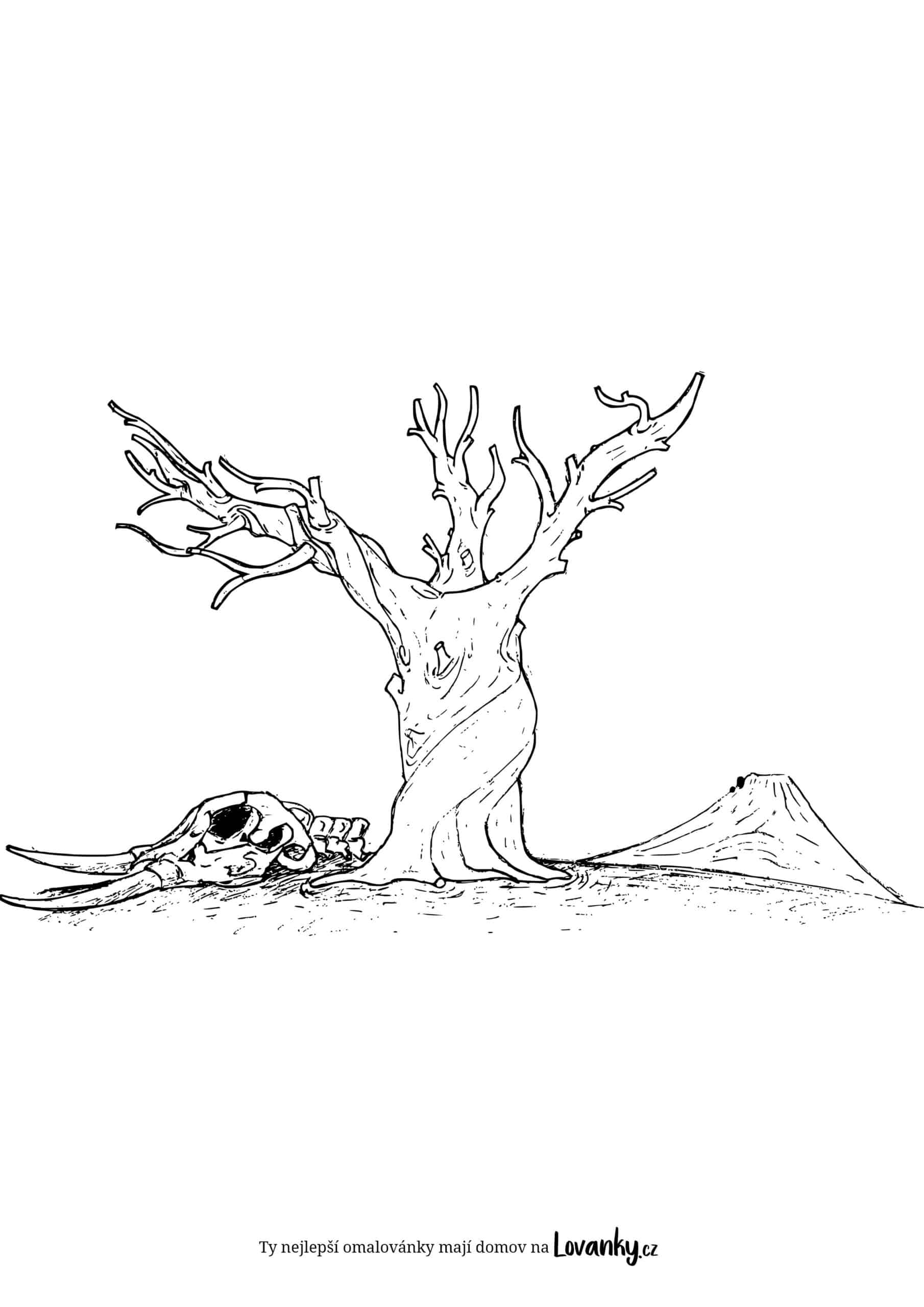 Mrtvý strom omalovánky