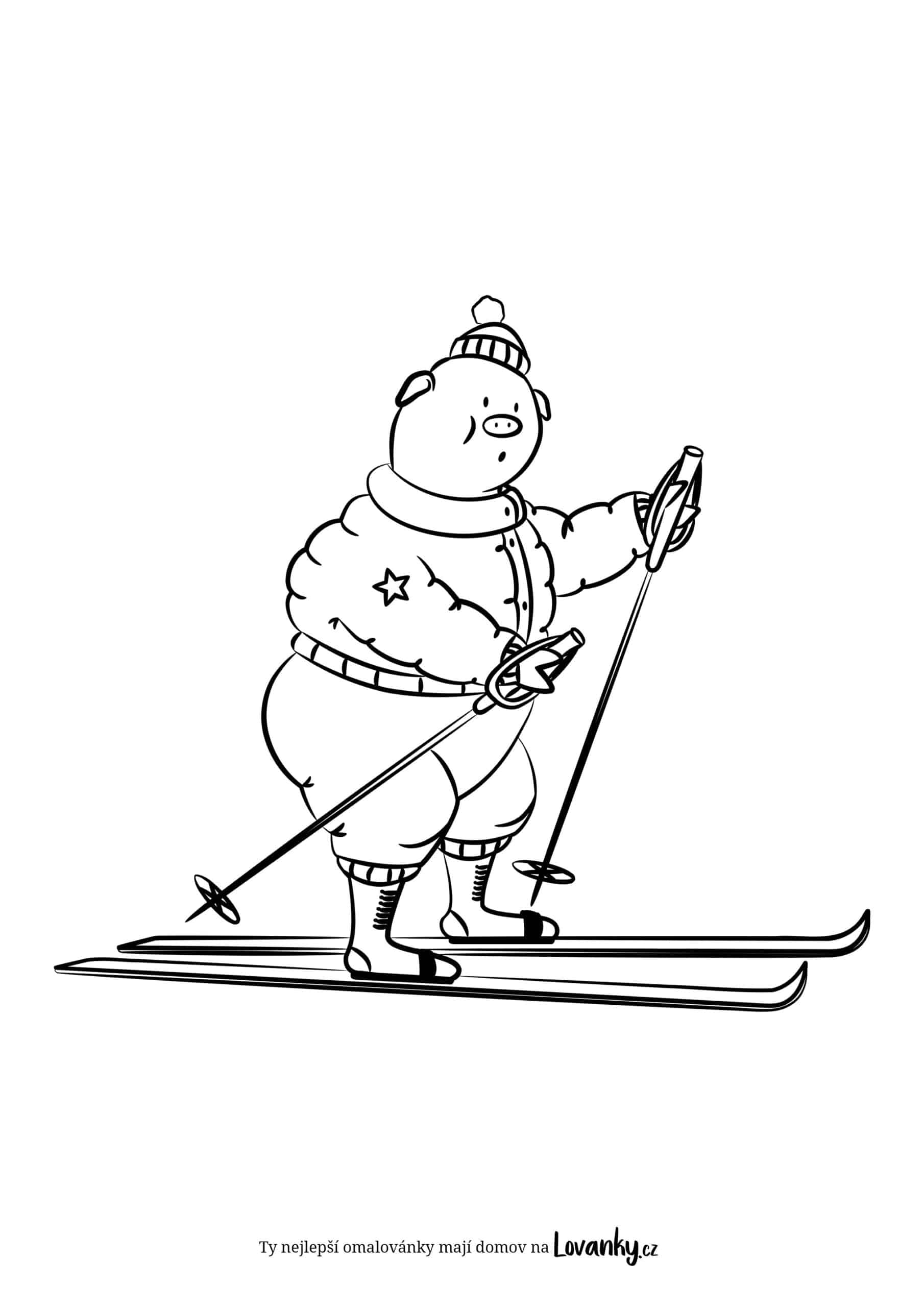 Prasátko lyžař omalovánky