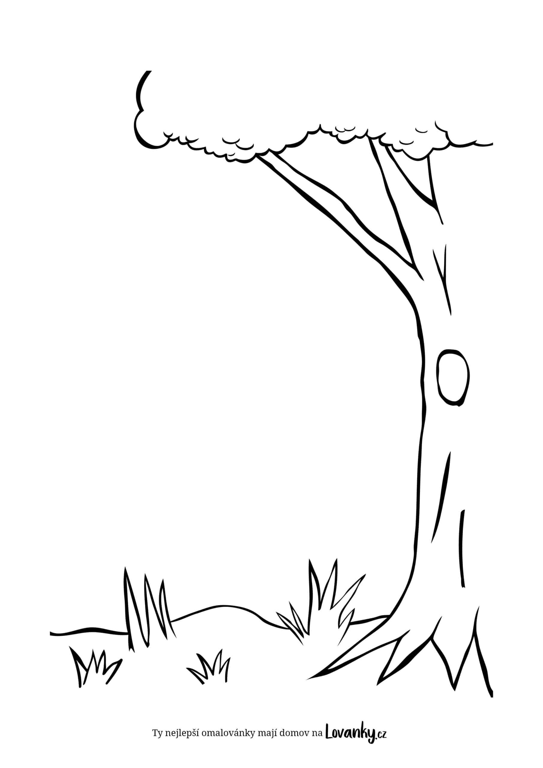 Strom na louce omalovánky