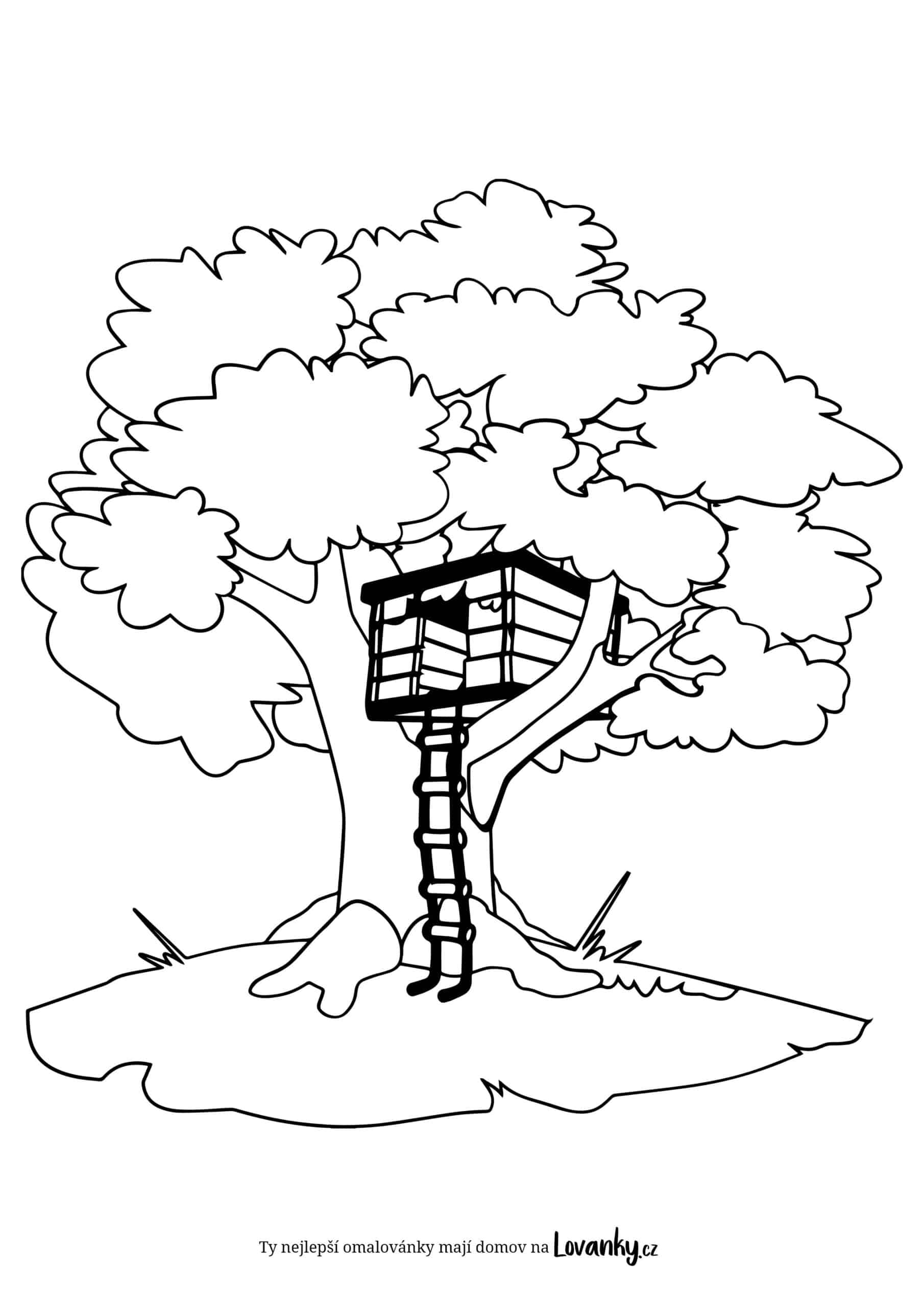 Strom s budkou omalovánky